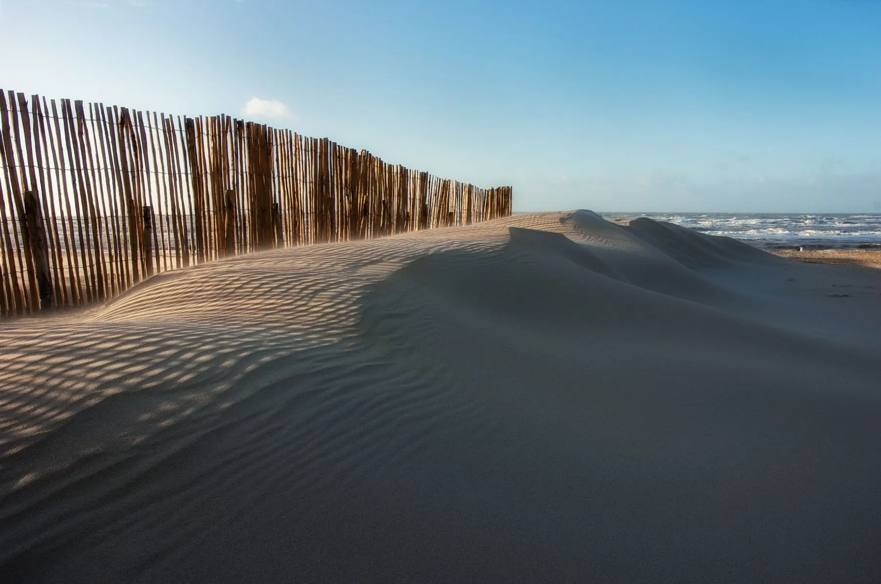 Zandduinen met een houten scherm aan de Hollandse kust
