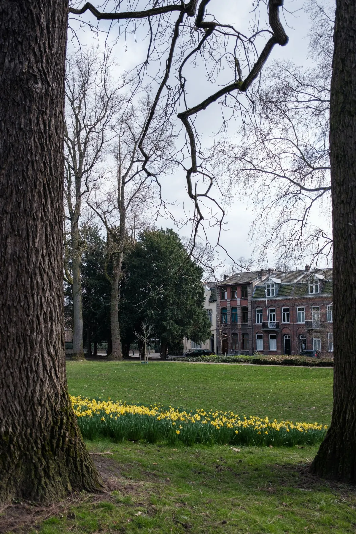 Park en gevels in Haarlem