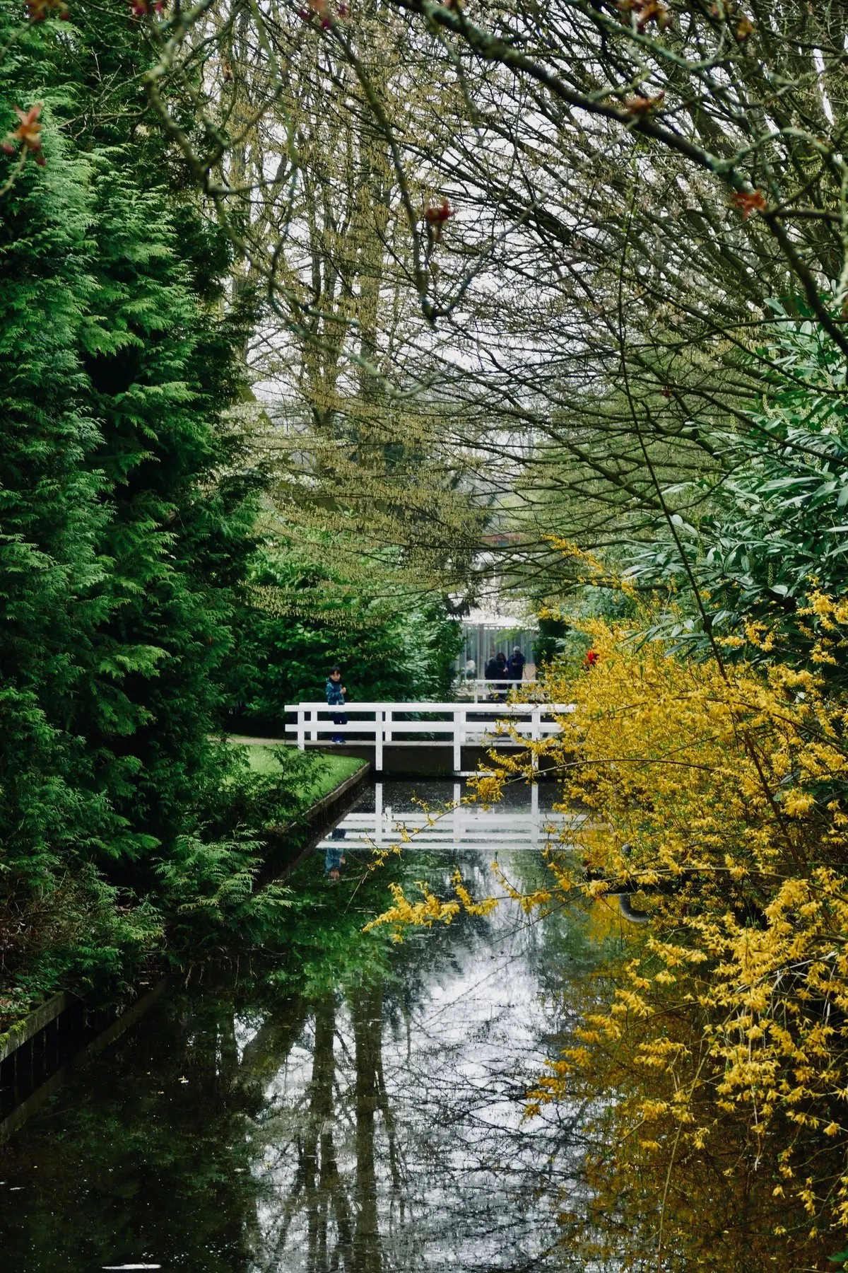 Brug over water in een Amsterdams park