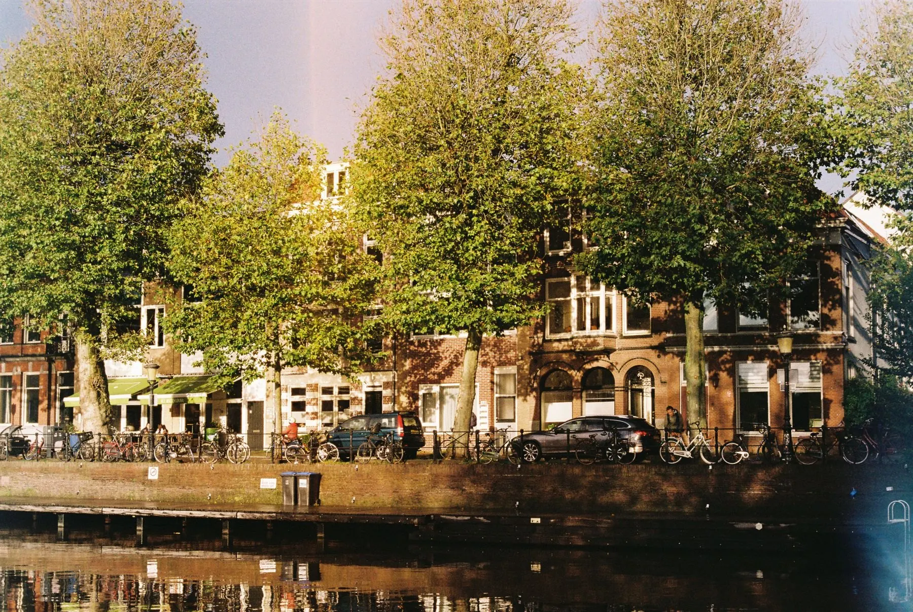 Bomen en fietsen langs een Nederlandse gracht